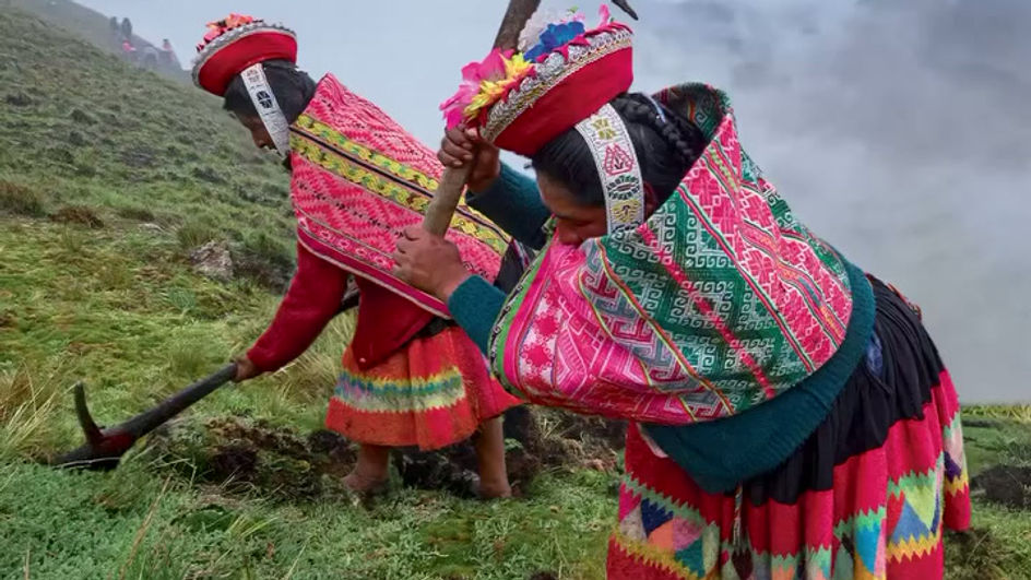 Les Indiens Quechuas contre la déforestation